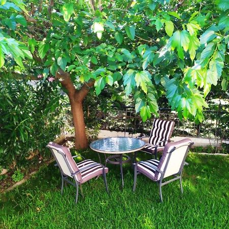 House With Garden Netflix Villa Nea Kerasia Exterior photo
