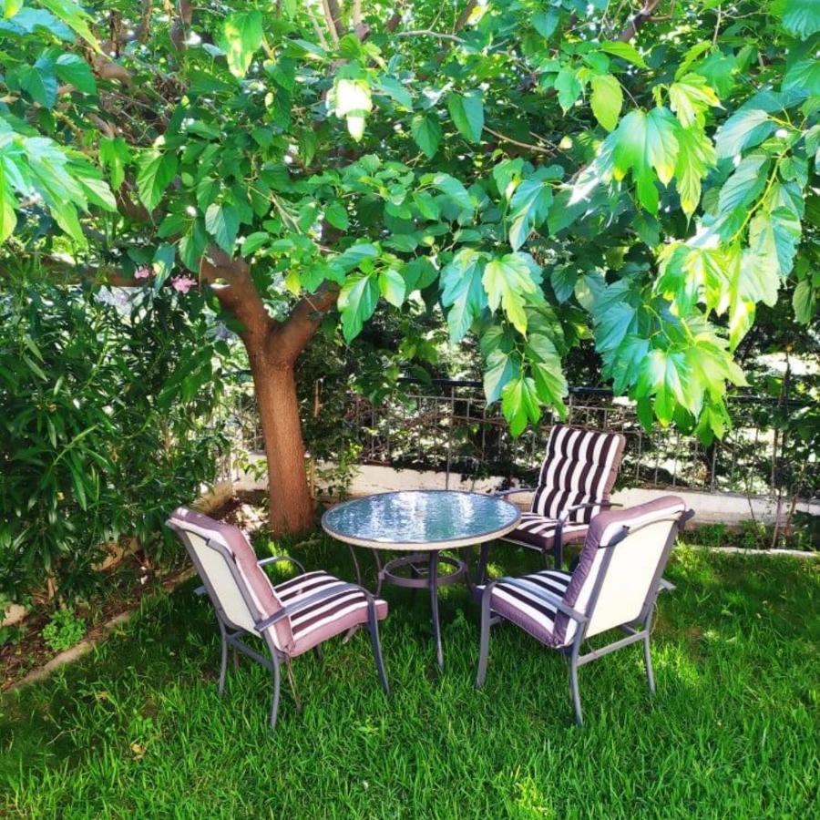 House With Garden Netflix Villa Nea Kerasia Exterior photo